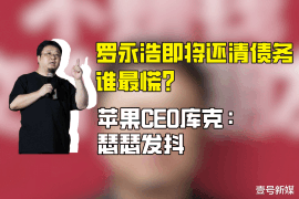 金牛融资清欠服务